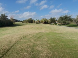 Tara Golf & Country Club in Bradenton - Fairway