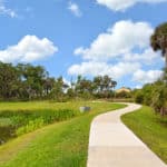 Forest Creek in Parrish Nature Trails