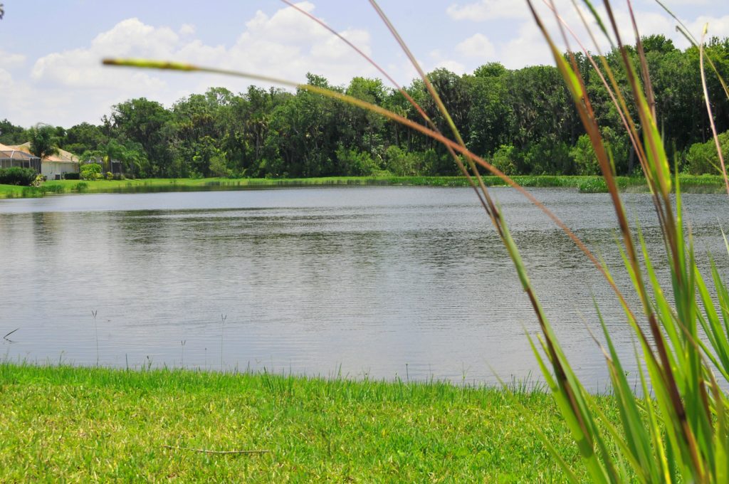 Mandalay in Bradenton Lake