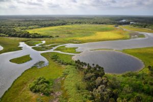 Myakka State Park in Florida Near Myakka Country Venice Florida