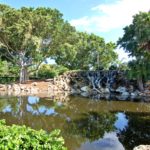 Bird Bay Village in Venice Waterfall