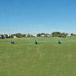 Sawgrass in Venice Golf Course