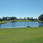 Sawgrass in Venice Lake Views