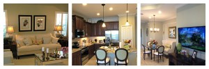 Fairfield Bradenton Tidewater Model Family Room & Kitchen