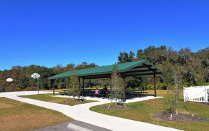 Oakleaf Hammock in Ellenton Picnic Pavillion