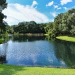 Oak Court in Sarasota Neighborhood Lake