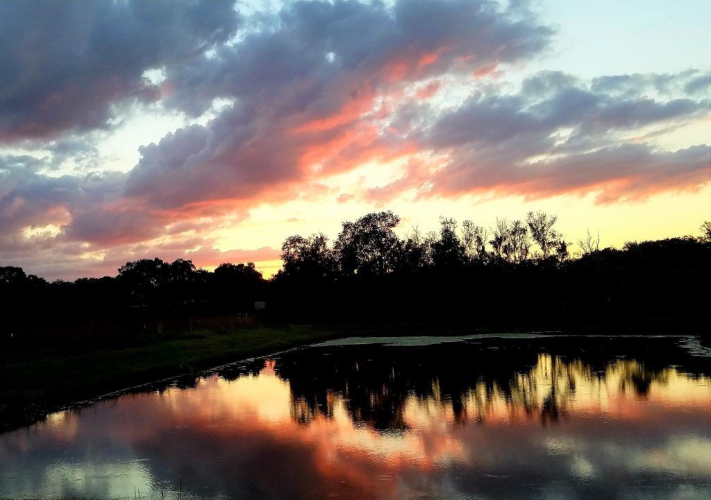 Garden Village in Sarasota Sunset