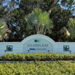 Silverleaf in Parrish Homes for Sale (2)